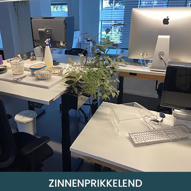 Zinnenprikkelend