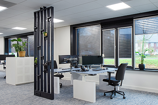 Ergonomic-Office