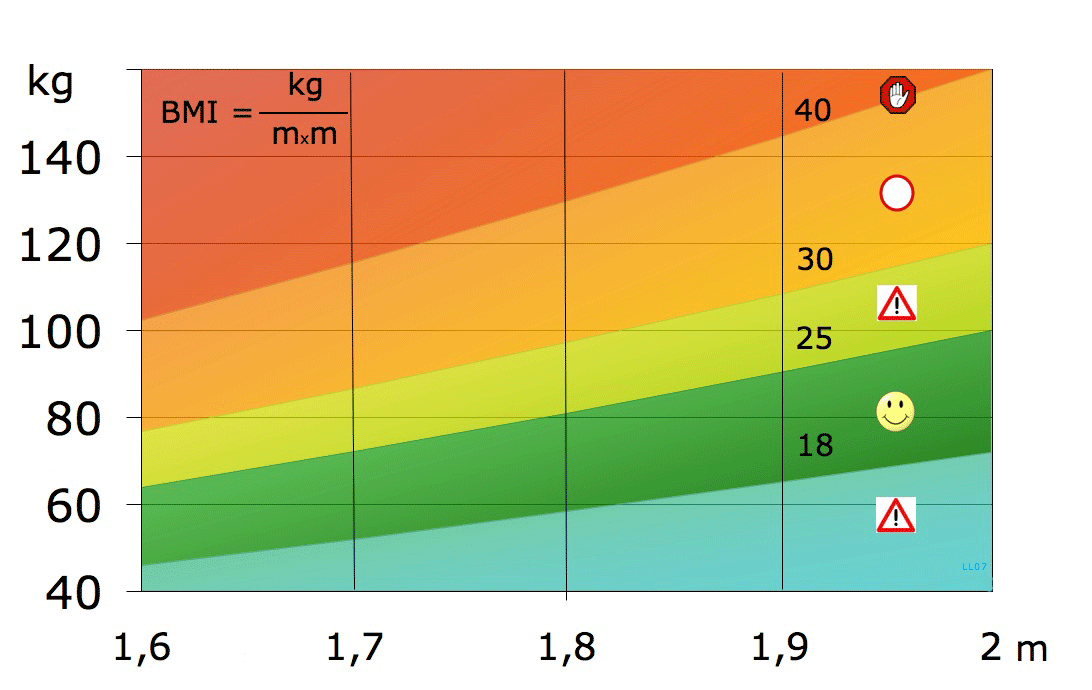 BMI-Wikipedia