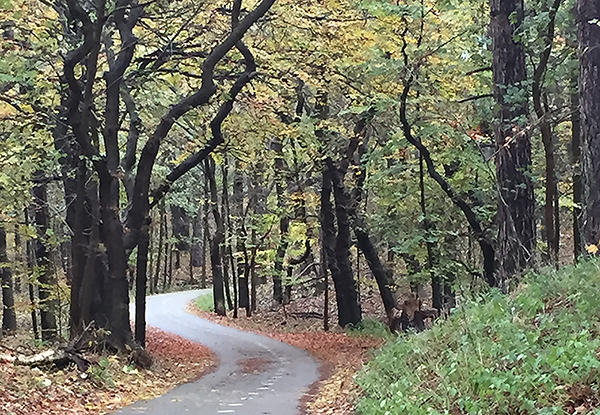 Wandeling